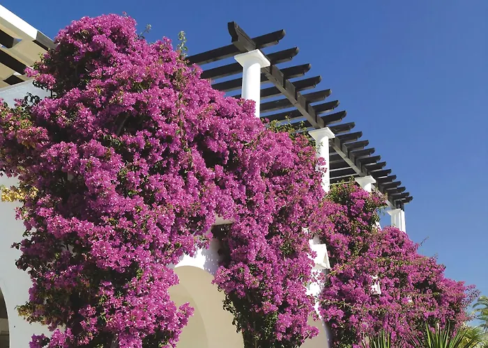 Hotel Hapimag Albufeira Castelo (Sesimbra)